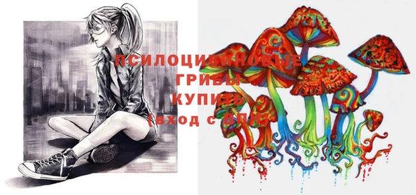 МДПВ Алексеевка