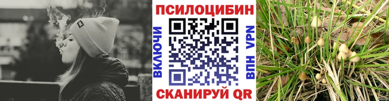 Галлюциногенные грибы MAGIC MUSHROOMS Саров